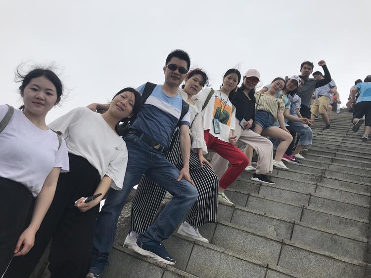 team (1)